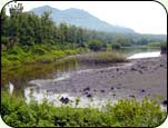 Natural Parks